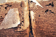 Ancient Timbuktu manuscript (click to enlarge)